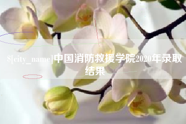 沛县中国消防救援学院2020年录取结果