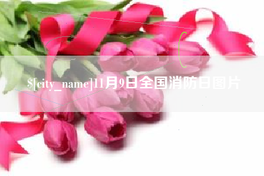 沛县11月9日全国消防日图片