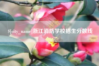 沛县浙江消防学校招生分数线