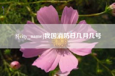 沛县我国消防日几月几号