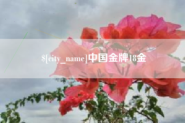 沛县中国金牌18金