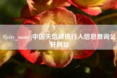 沛县中国失信被执行人信息查询公开网址