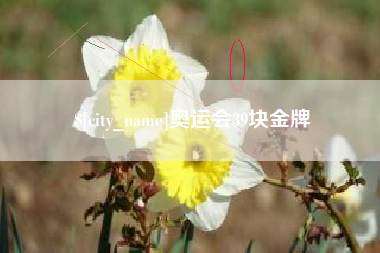 沛县奥运会39块金牌