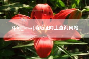 沛县消防证网上查询网站
