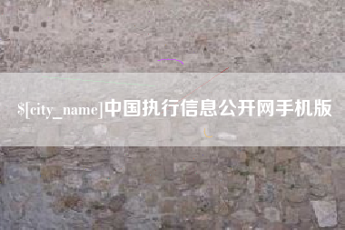 沛县中国执行信息公开网手机版