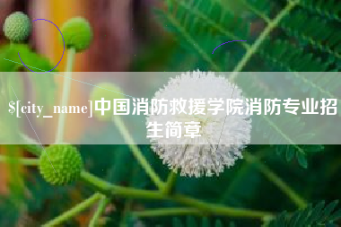 沛县中国消防救援学院消防专业招生简章