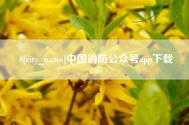 沛县中国消防公众号app下载