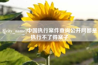 沛县中国执行案件查询公开网都是执行不了得案子