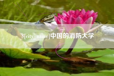 沛县中国的消防大学