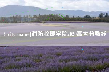 沛县消防救援学院2020高考分数线