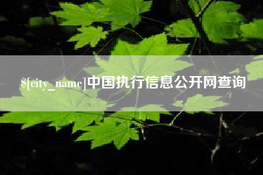 沛县中国执行信息公开网查询