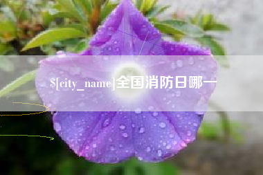 沛县全国消防日哪一