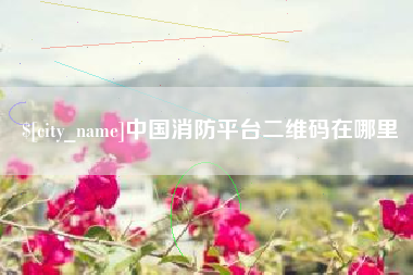 沛县中国消防平台二维码在哪里