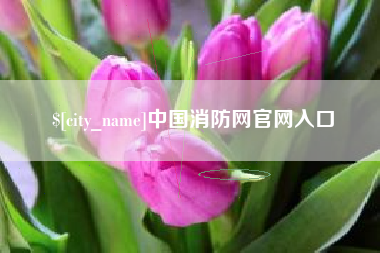 沛县中国消防网官网入口