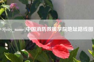 沛县中国消防救援学院地址路线图