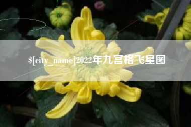 沛县2022年九宫格飞星图