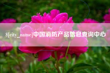 沛县中国消防产品信息查询中心