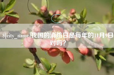 沛县我国的消防日是每年的11月9日对吗？