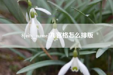 沛县九宫格怎么排版