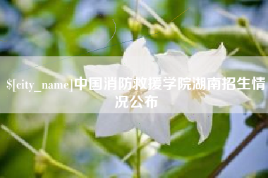 沛县中国消防救援学院湖南招生情况公布