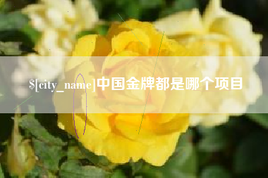 沛县中国金牌都是哪个项目