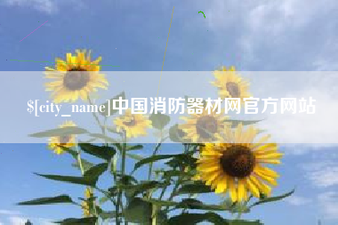 沛县中国消防器材网官方网站