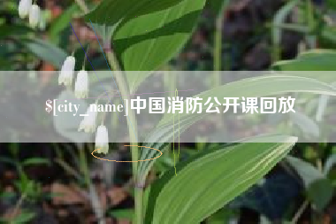 沛县中国消防公开课回放