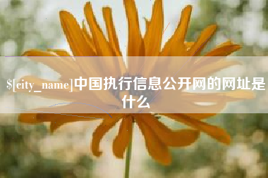 沛县中国执行信息公开网的网址是什么