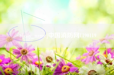 沛县中国消防网1190119