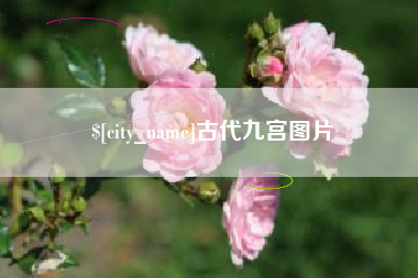 沛县古代九宫图片
