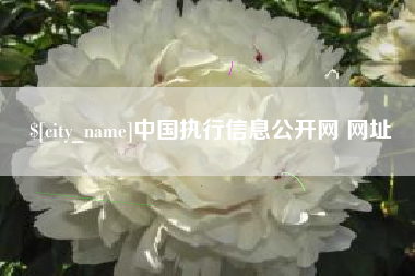 沛县中国执行信息公开网 网址