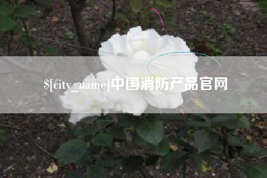 沛县中国消防产品官网