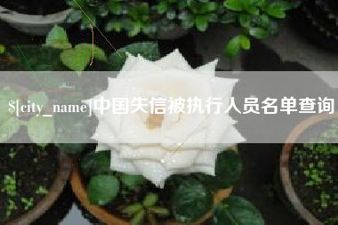 沛县中国失信被执行人员名单查询