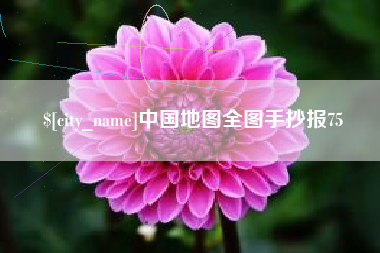 沛县中国地图全图手抄报75