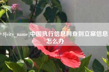 沛县中国执行信息网查到立案信息怎么办