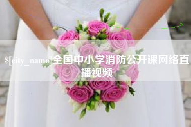 沛县全国中小学消防公开课网络直播视频