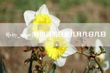 沛县我国消防日是几月几日几日