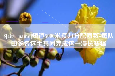 沛县短道5000米接力分配圈数-每队由多名选手共同完成这一漫长赛程