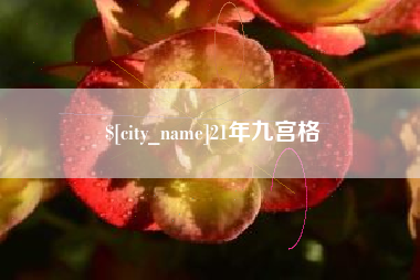 沛县21年九宫格