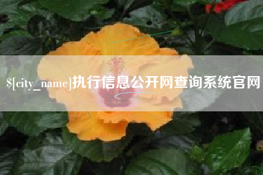 沛县执行信息公开网查询系统官网