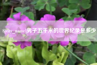 沛县男子五千米的世界纪录是多少
