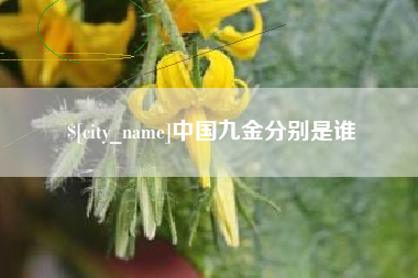 沛县中国九金分别是谁