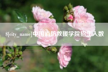 沛县中国消防救援学院招生人数