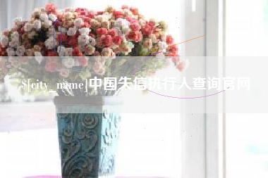 沛县中国失信执行人查询官网