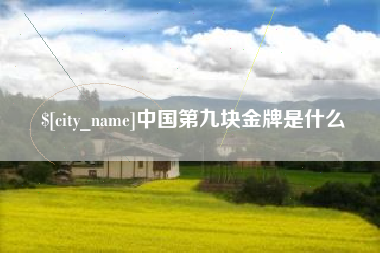沛县中国第九块金牌是什么