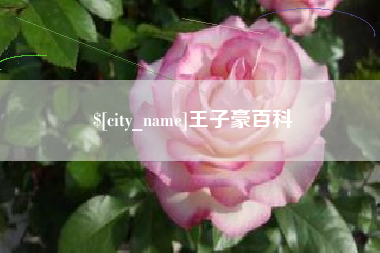 沛县王子豪百科