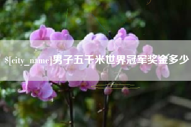 沛县男子五千米世界冠军奖金多少