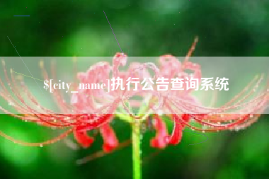 沛县执行公告查询系统