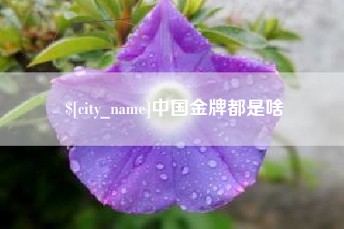 沛县中国金牌都是啥