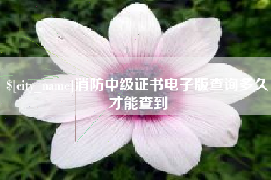 沛县消防中级证书电子版查询多久才能查到